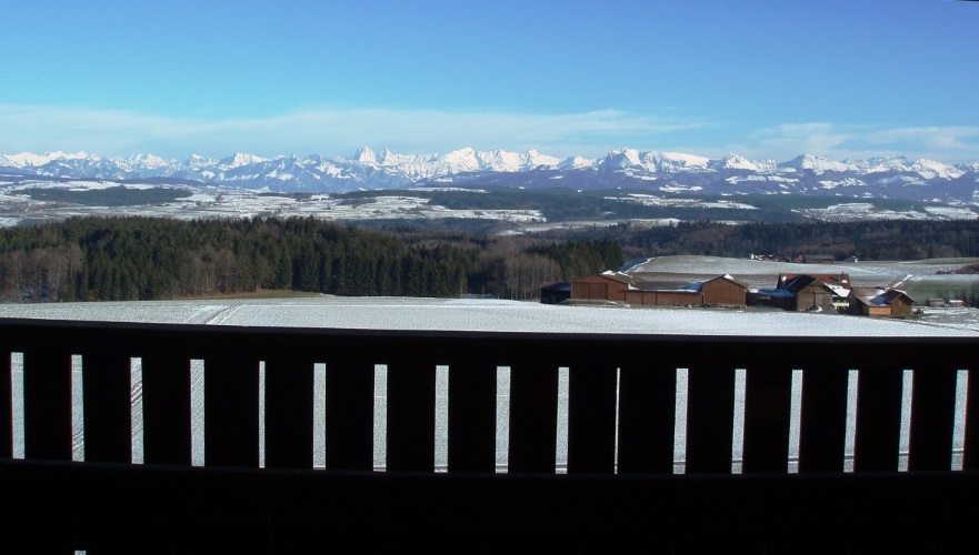 Vue du haut du Donjon